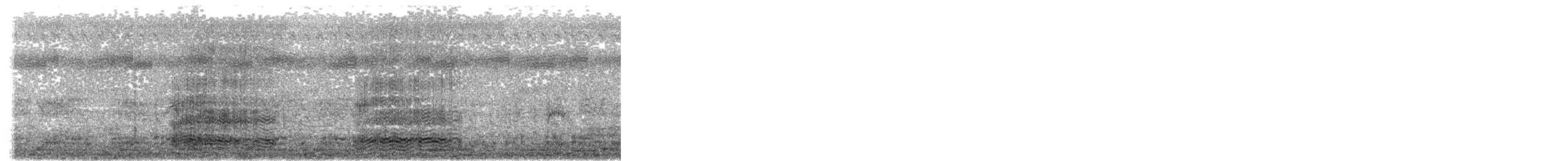 Koartza gorria - ML646291278