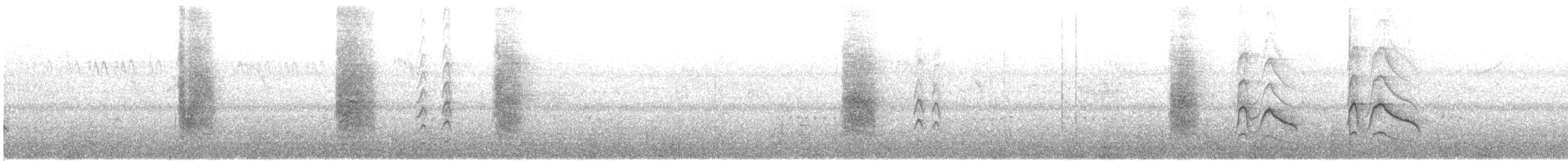 drongo černý - ML646291965