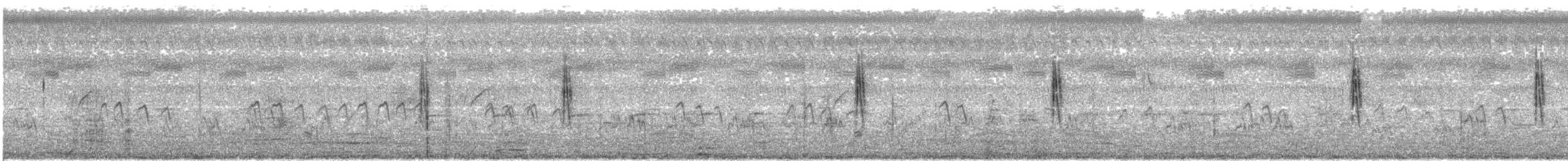 Andarríos Bastardo - ML646291975