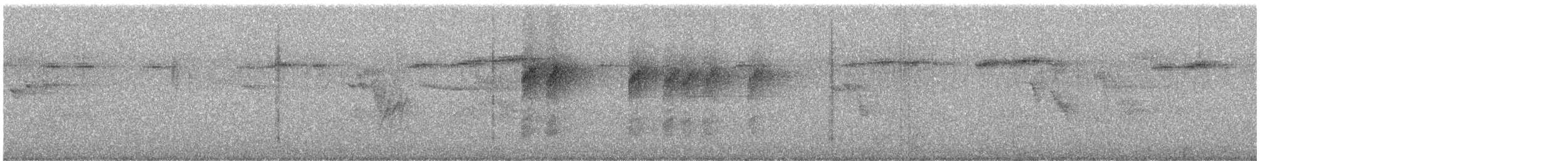 forktail sp. - ML646292071