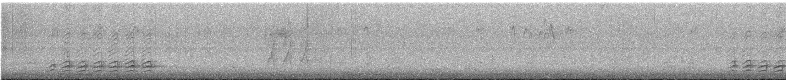 brhlík běloprsý - ML646292671