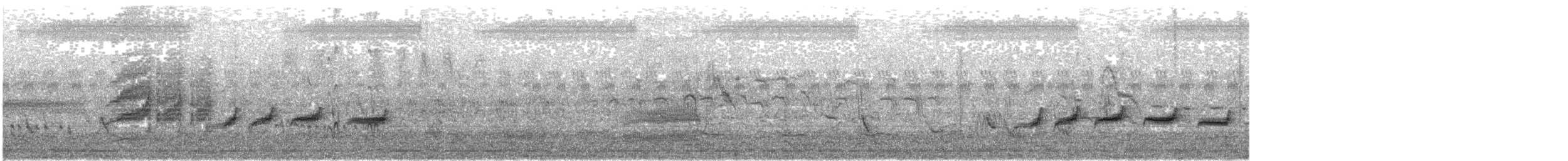 Common Woodshrike - ML646292676