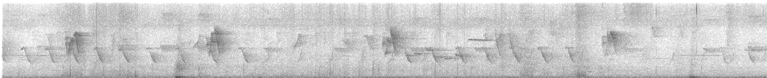 budníček zelený - ML646292711