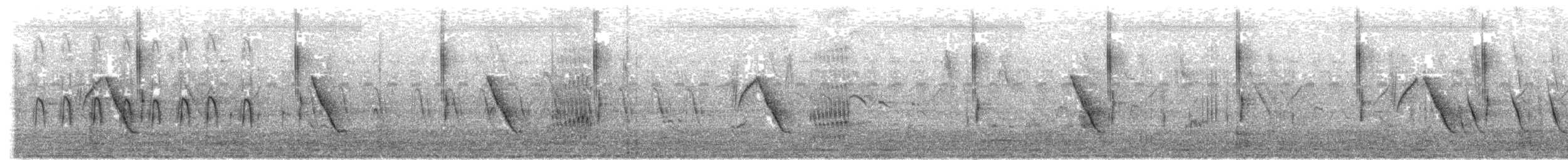 セッカ - ML646292721