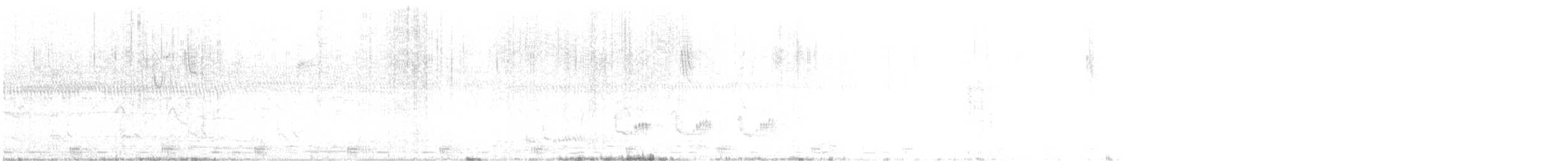 Wilson's Snipe - ML646292922