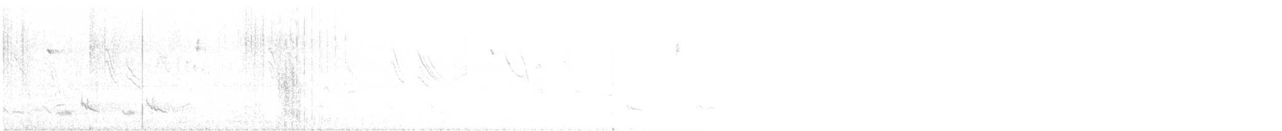 Wilson's Snipe - ML646292923