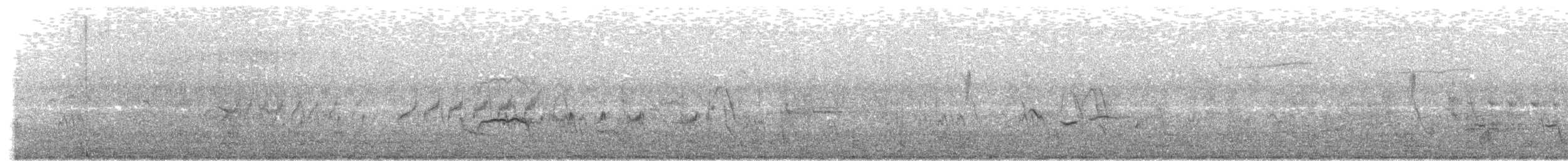 White-tailed Iora - ML646293292