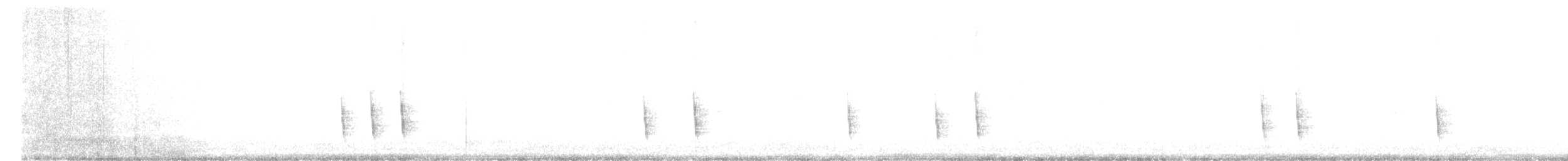 Hermit Thrush - ML646293345