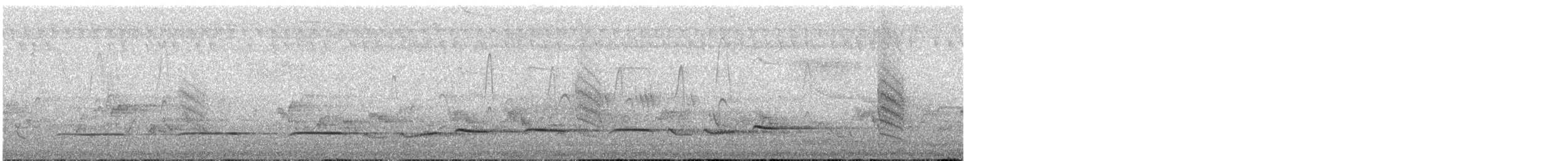 Banded Bay Cuckoo - ML646293378