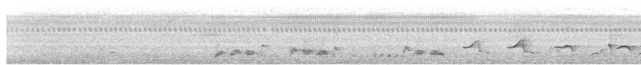 Chinese Hwamei - ML646293379