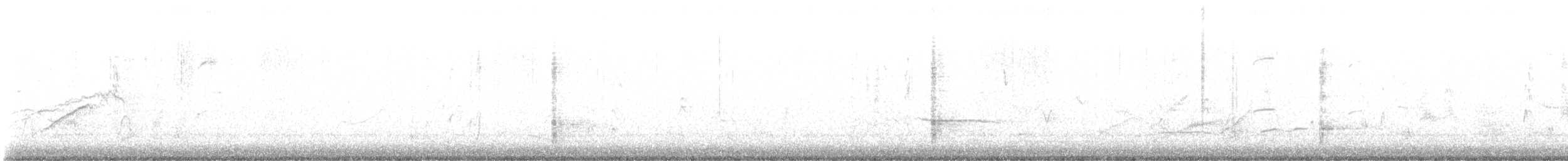 Great-tailed Grackle - ML646294001