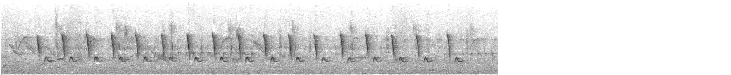 Common Tailorbird - ML646294421