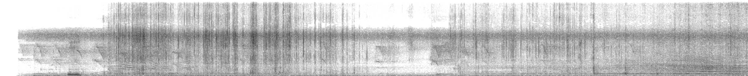 Rose-ringed Parakeet - ML646294424