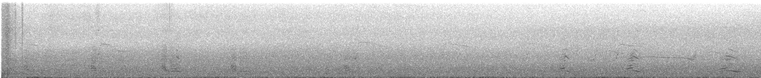 Доминиканская чайка - ML646294536