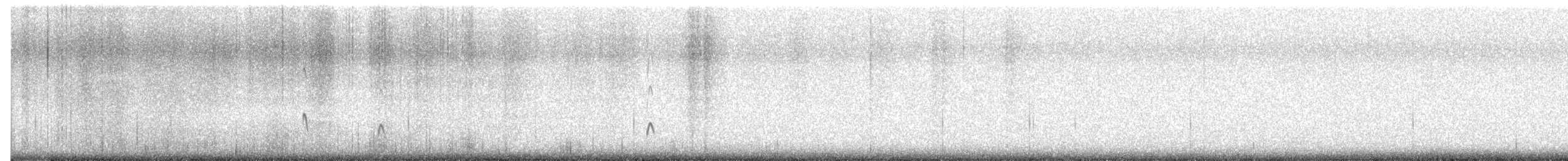 Американский кулик-сорока - ML646295908