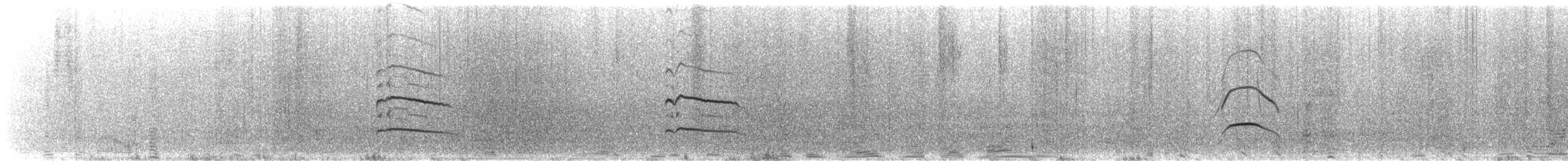 Американский кулик-сорока - ML646296006