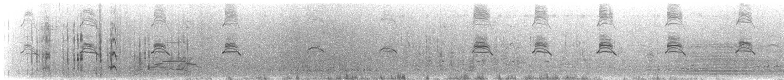 Галапагосская чайка - ML646296270