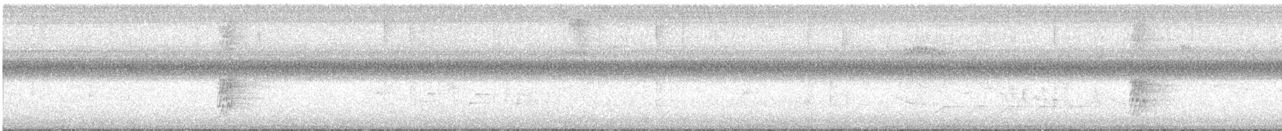 Mönchssittich - ML646296295