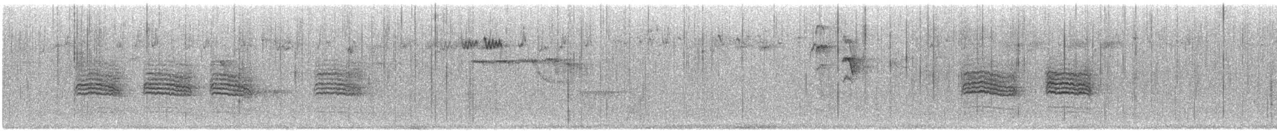 Willow Tit (Willow) - ML646296522