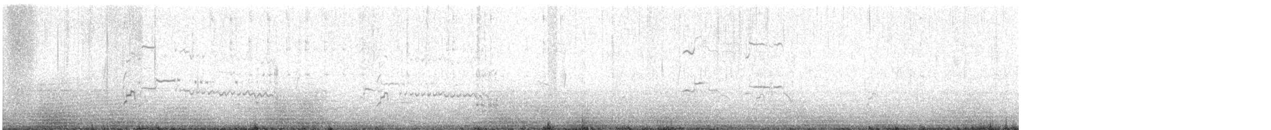 American Avocet - ML646296670