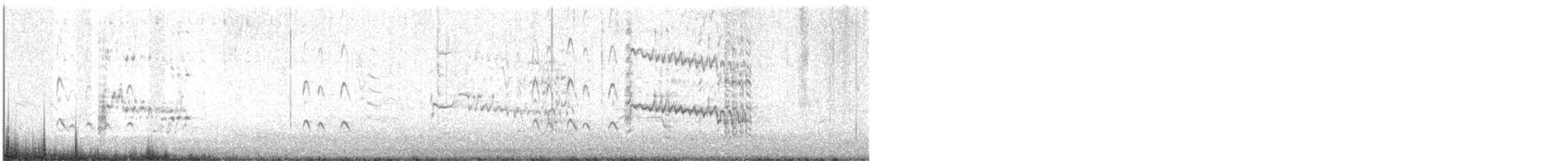 Lesser Yellowlegs - ML646296770