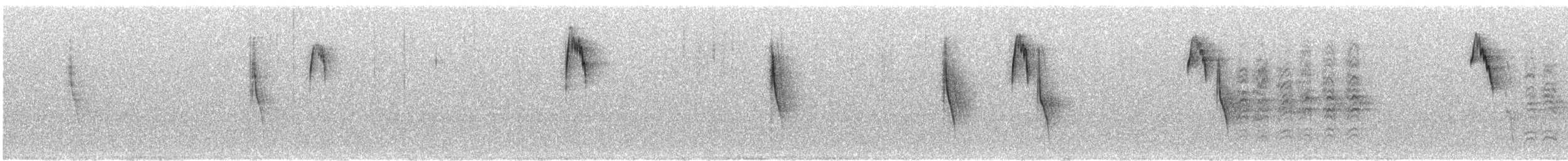 Marsh Tit - ML646296822