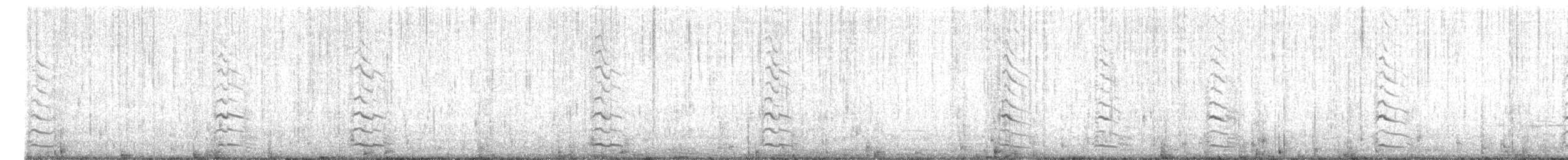 American Herring Gull - ML646297085