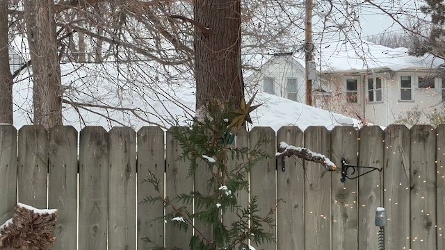 Cooper Atmacası - ML646297130