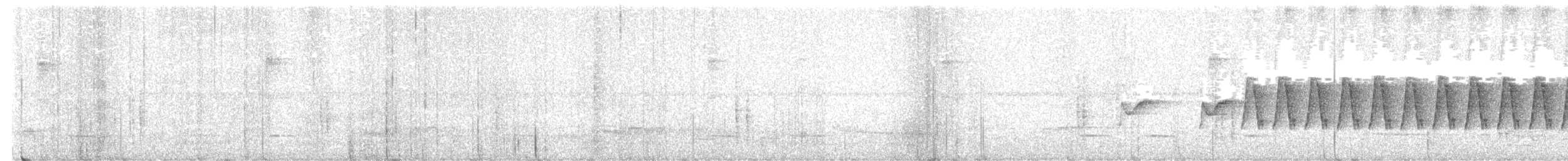 Куцокрил чагарниковий - ML646297314