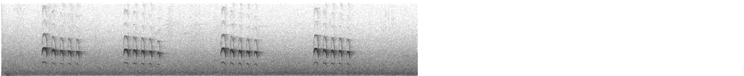 Trilling Tapaculo - ML646297536