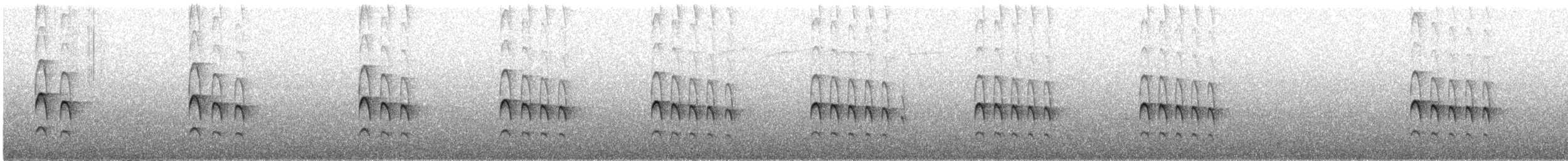 Trilling Tapaculo - ML646297538