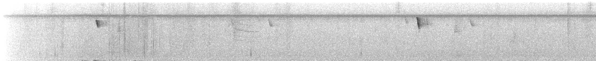 Tropical Parula - ML646297671