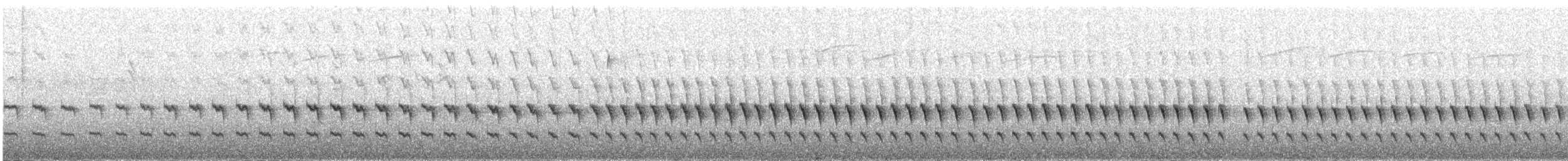 Taçlı Tapakola - ML646297770