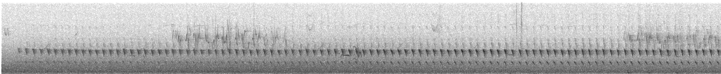 Taçlı Tapakola - ML646297771