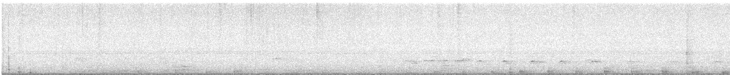 kukačka drozdí - ML646297944