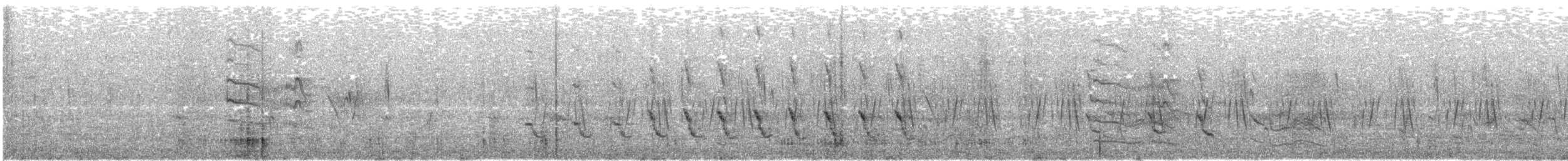 čejka indická - ML646298028