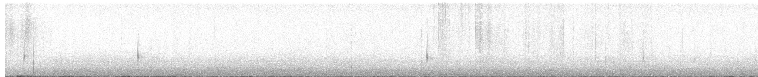 שחרורית אדומת-כנף - ML646298072