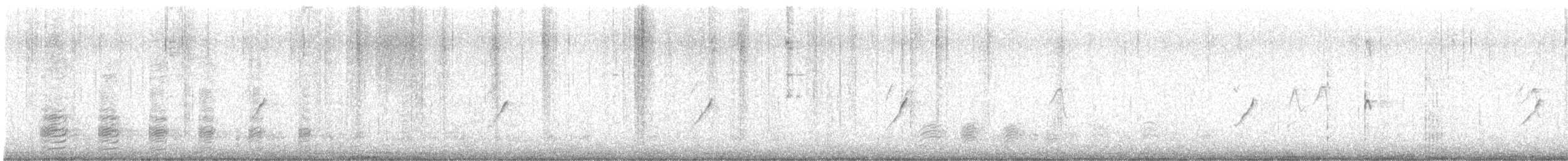 budníček menší - ML646298192