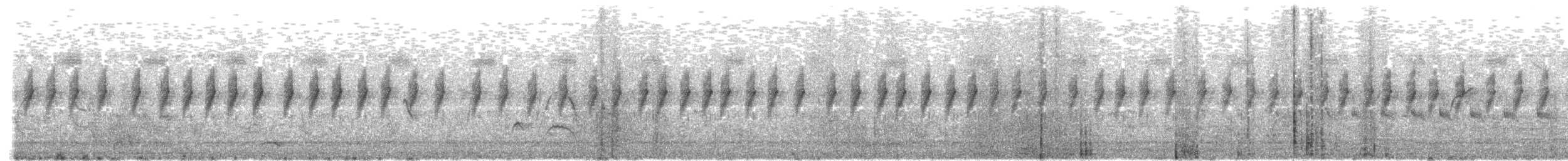 Jungle Prinia - ML646298249