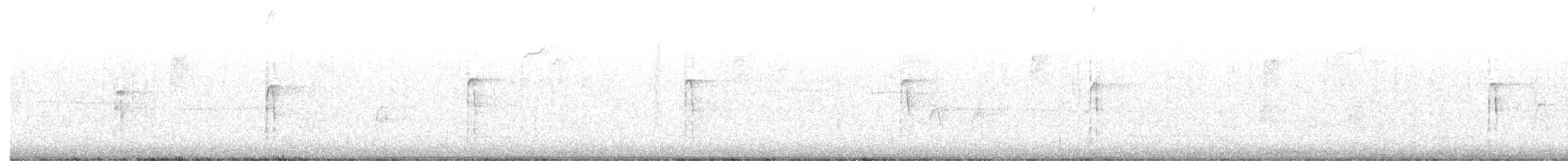 strakapoud americký - ML646298489