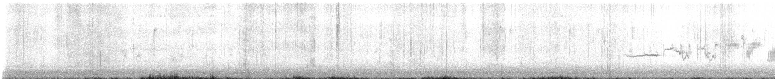 White-crowned Sparrow - ML646298970