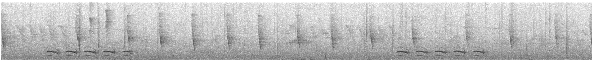 Variable Antshrike - ML646299137