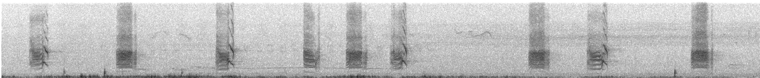 Black Drongo - ML646299468