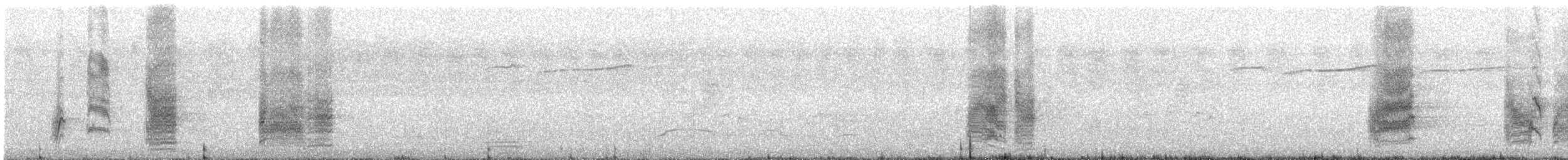 Black Drongo - ML646299587