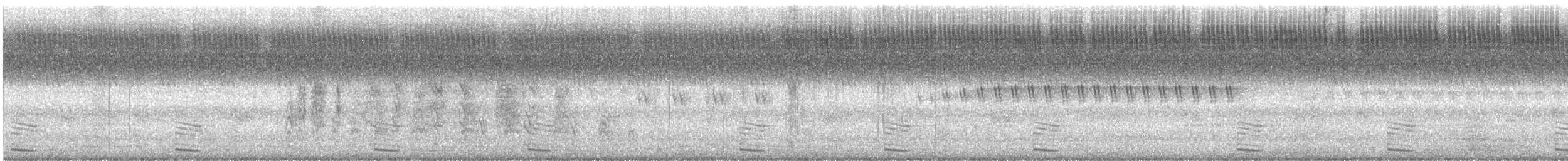 Mochuelo Brahmán - ML646300070