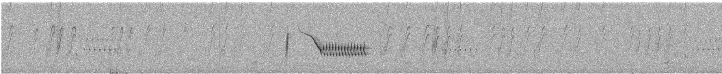 Bewick's Wren (mexicanus Group) - ML646300550