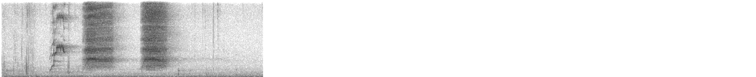 White-throated Magpie-Jay - ML646300552