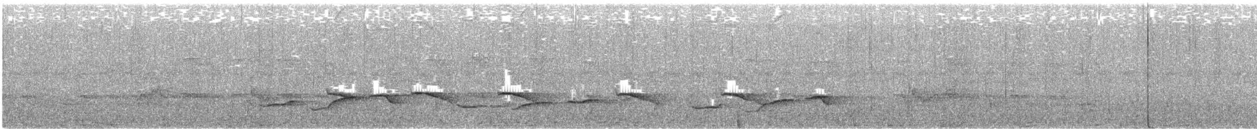 Сулавесский усатоклюв - ML646300964