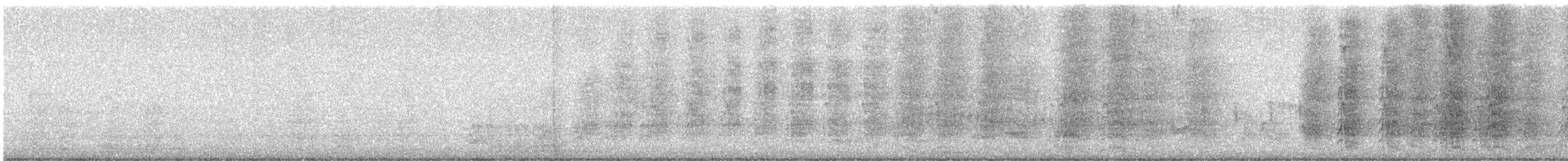 Amazona Frentialba - ML646301015