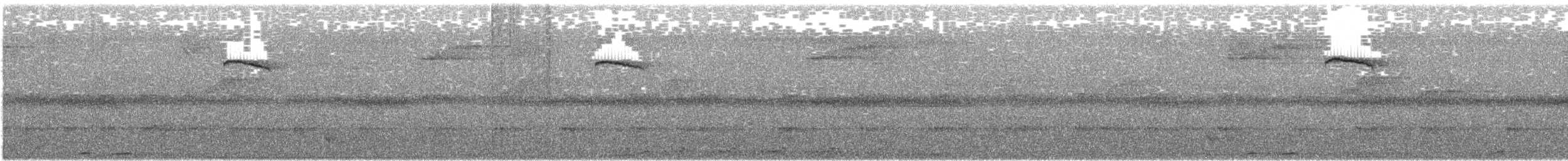 Martín Pigmeo de Célebes - ML646301077